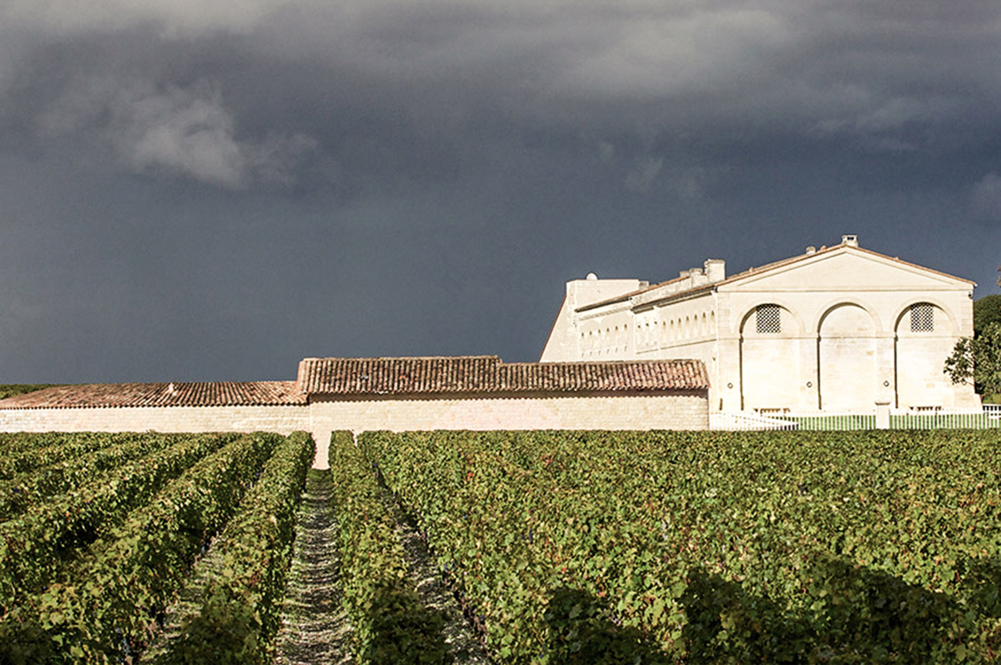 Château Mouton Rothschild 2009 Chateau Mouton Rothschild Pauillac 2009 99pts — Plume Ridge