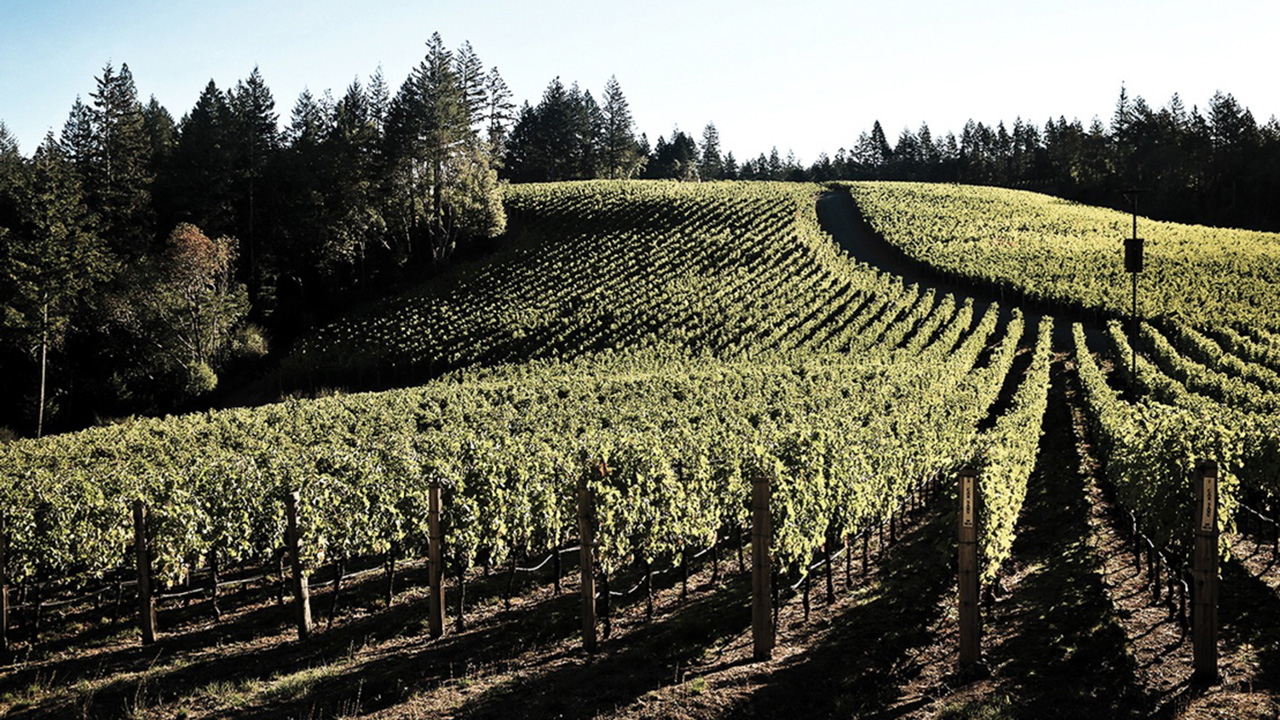 アロフトAloft Cabernet Sauvignon 2008 Aloft Wine | A Decade in the Making: 10-Year Vertical by the