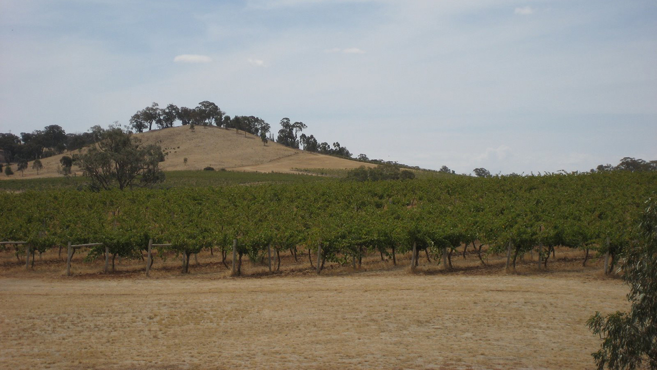 2014 Jasper Hill Georgia's Paddock Shiraz