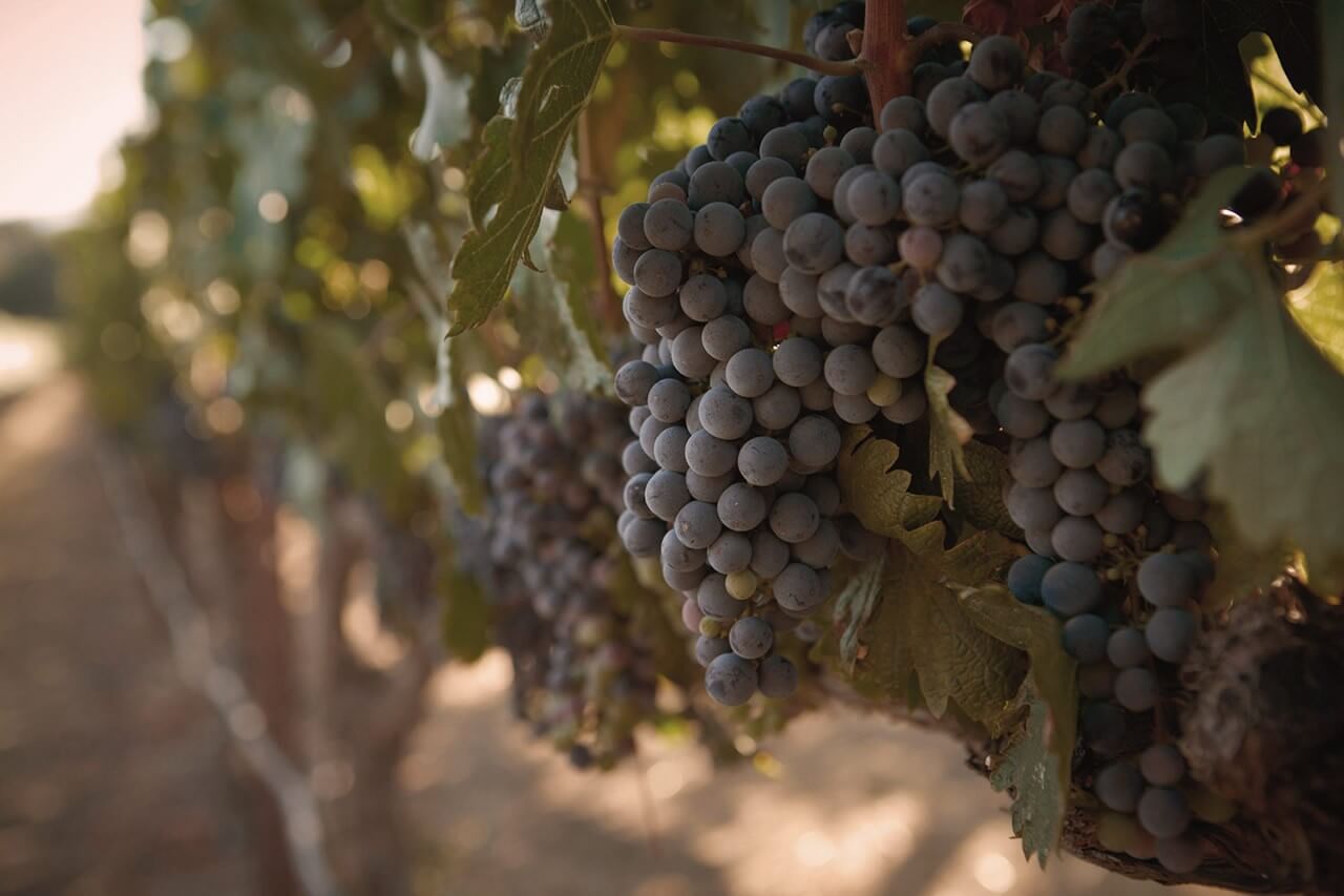 Clos du Val
