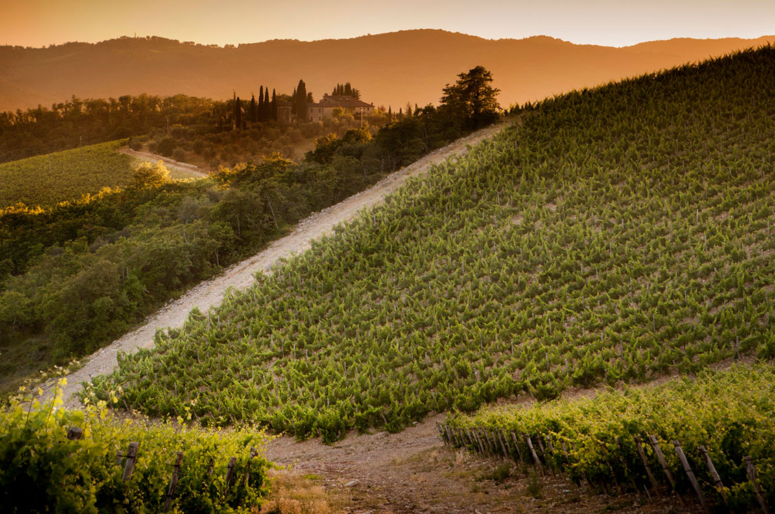 【希少】ラッパリータ [ボックス付] CASTELLO DI AMA 2015 Castello di Ama Chianti Classico Gran Selezione San Lorenzo