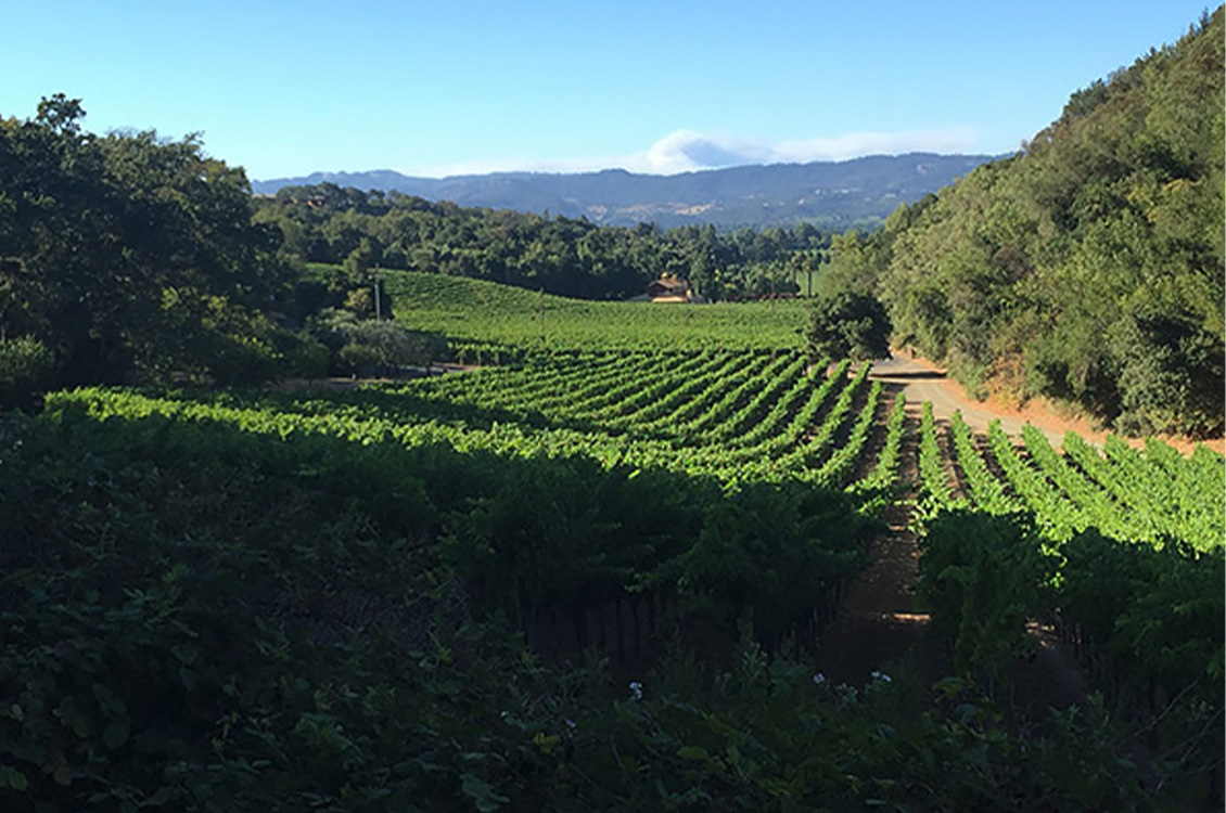 ワイン ST. EDEN NAPA VALLEY 2016 Shop 2016 St Eden, Bond — Viniamo, Premium Wine Delivery in