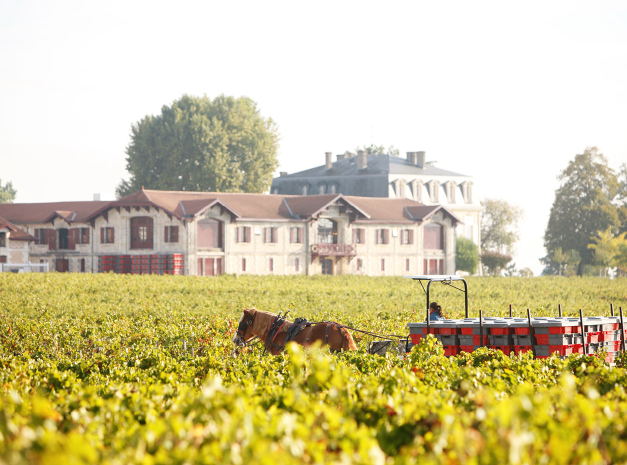 Château de Boursault - Définition et Explications