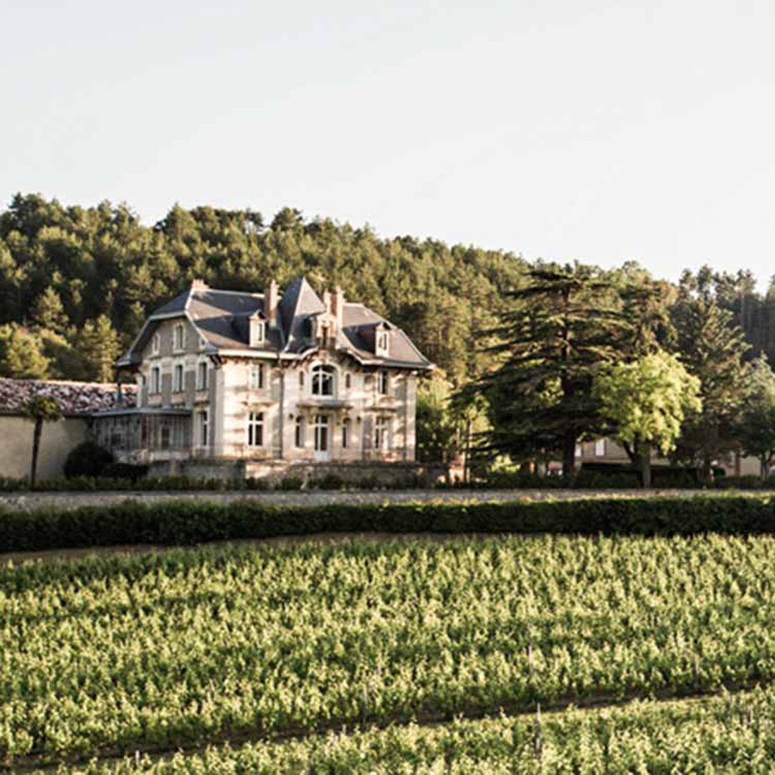 2012 Domaine de Baron'Arques Limoux Languedoc
