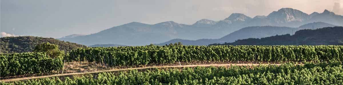 2012 Domaine de Baron'Arques Limoux Languedoc