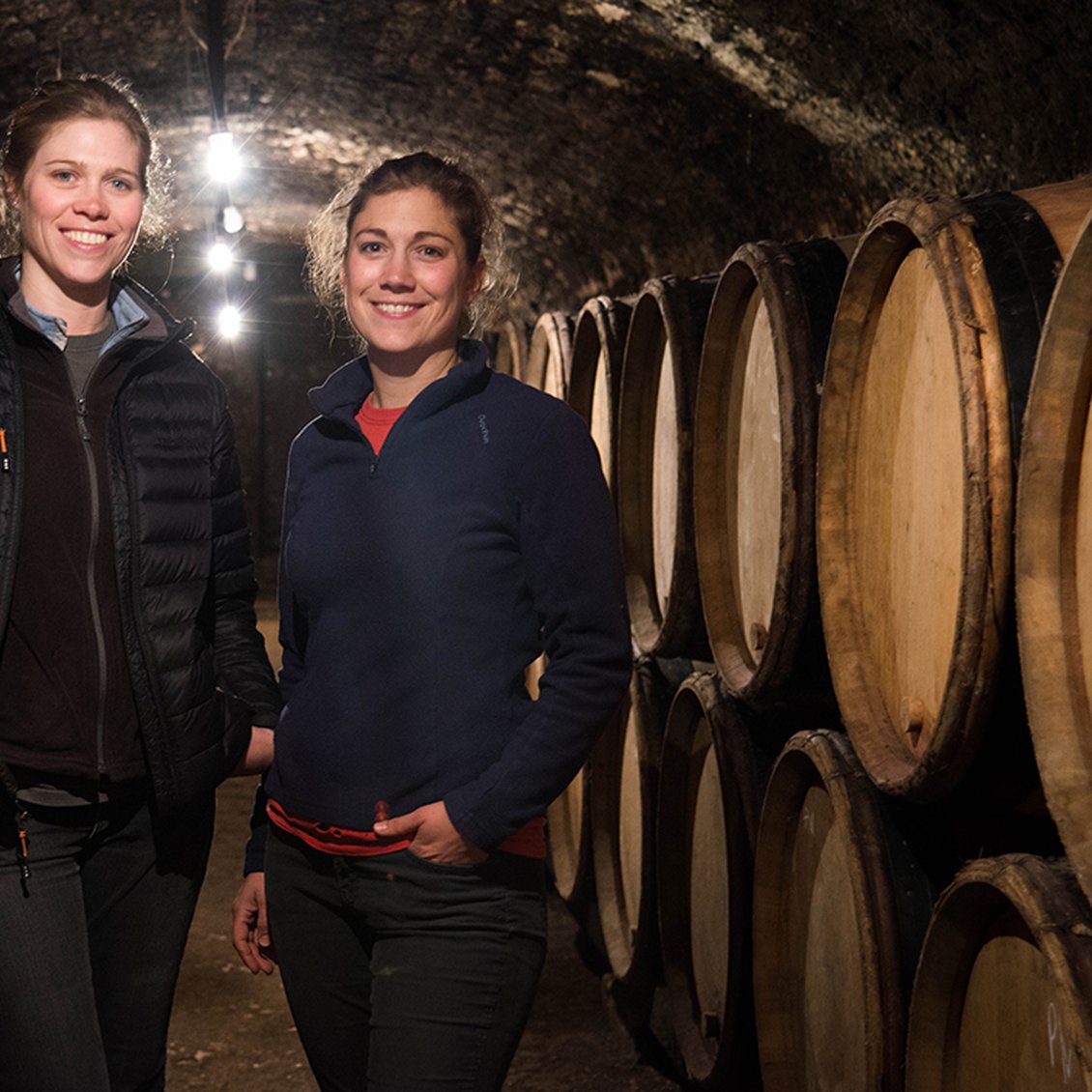 2017 Domaine Thierry & Pascal Matrot Meursault Les Chevalieres