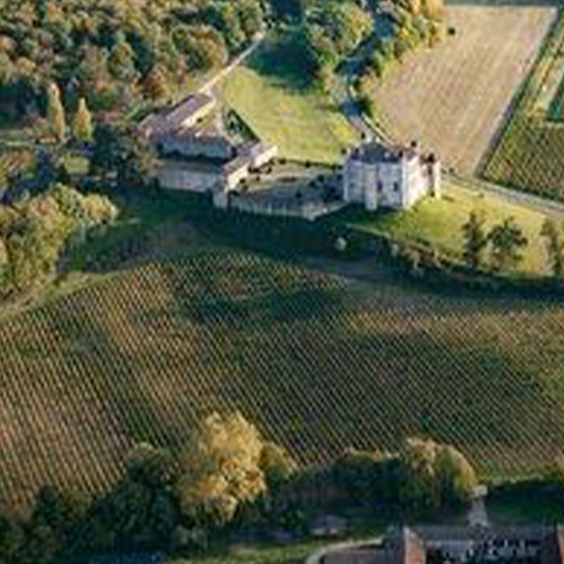 ワイン Lamella 2016 2016 Domaine de l'Aurage Castillon Côtes de Bordeaux