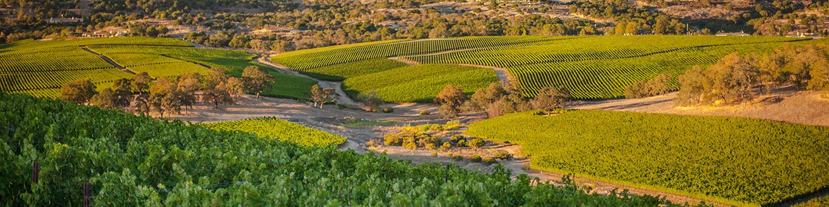 2015 Silver Oak Cellars Cabernet Sauvignon Napa Valley