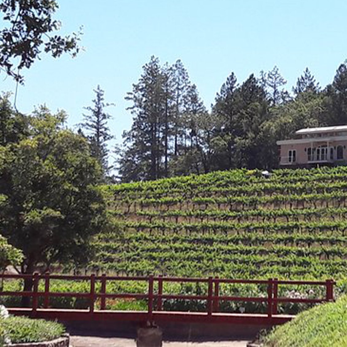 2016 Diamond Creek Vineyards Red Rock Terrace Cabernet Sauvignon