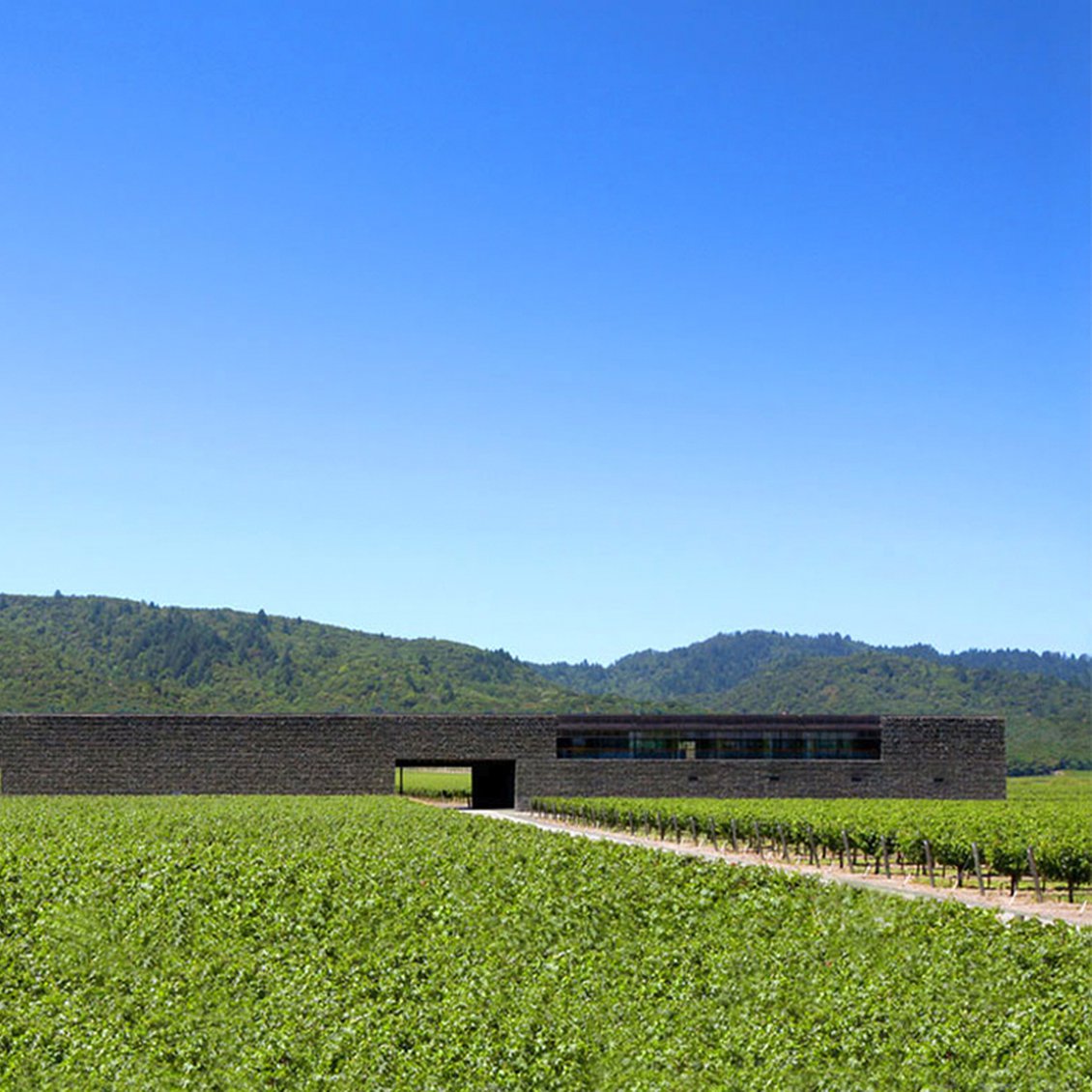 2016 Dominus Estate Bordeaux Blend Napa Valley
