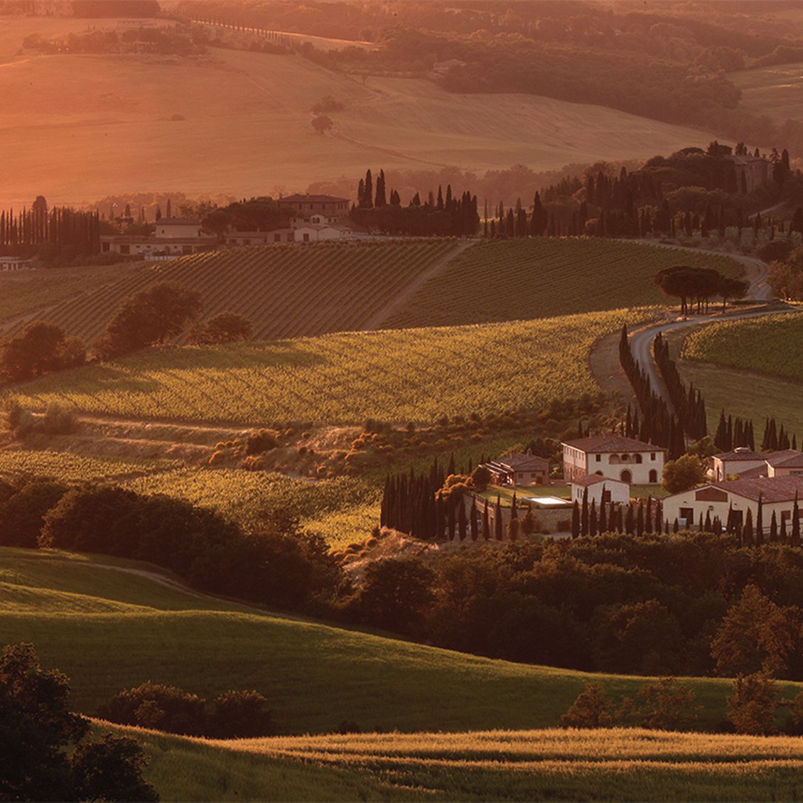 2018 Caparzo Rosso di Montalcino Tuscany