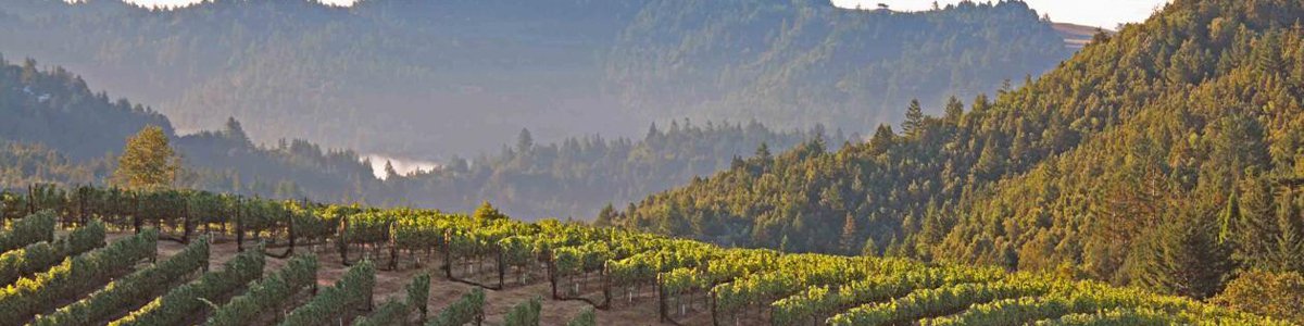 2013 Marcassin Marcassin Vineyard Pinot Noir Sonoma Coast
