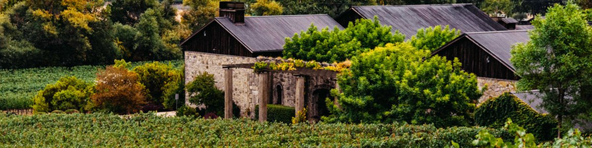 2017 Dana Estates Cabernet Sauvignon Helms Vineyard Napa Valley