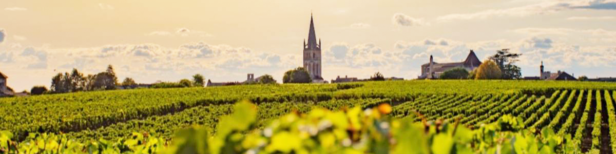 2018 Chateau du Grava Bordeaux Superieur