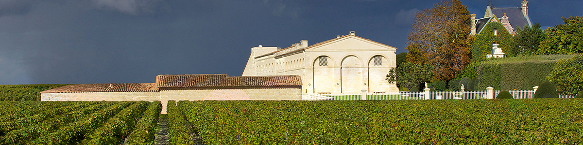 2016 Chateau Mouton Rothschild Pauillac