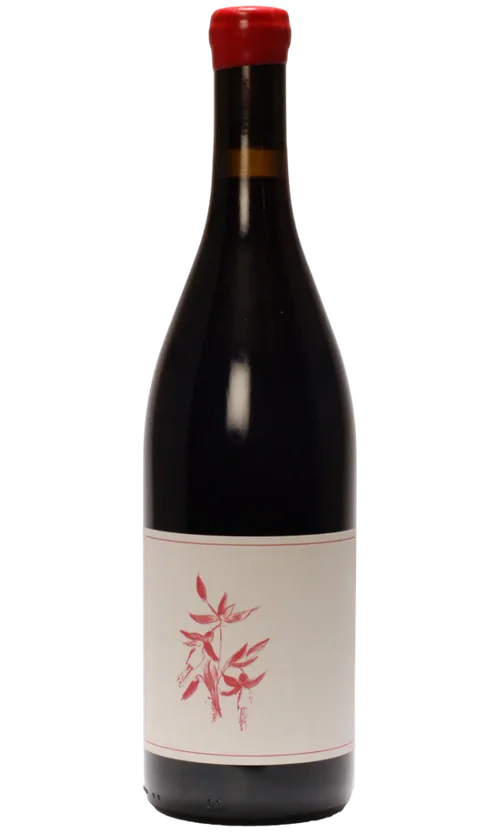 Pinot Noir Bottle