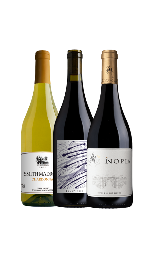 Wine Bottle