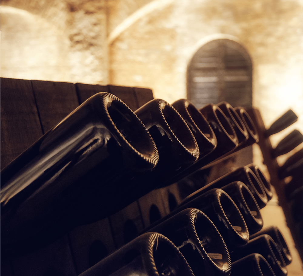 Wine bottles in rack