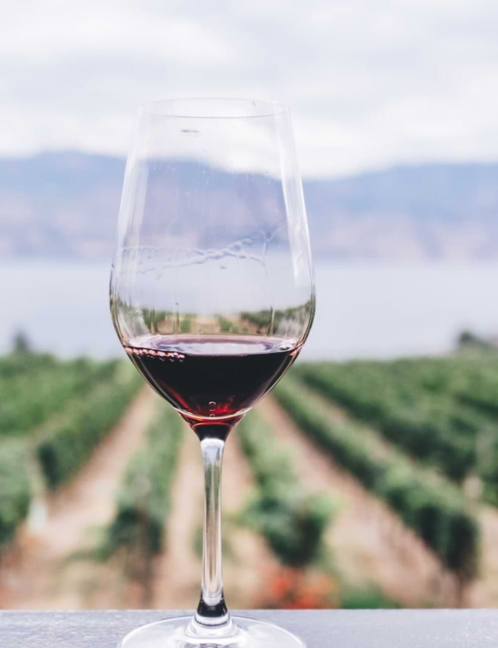 Wine Glass