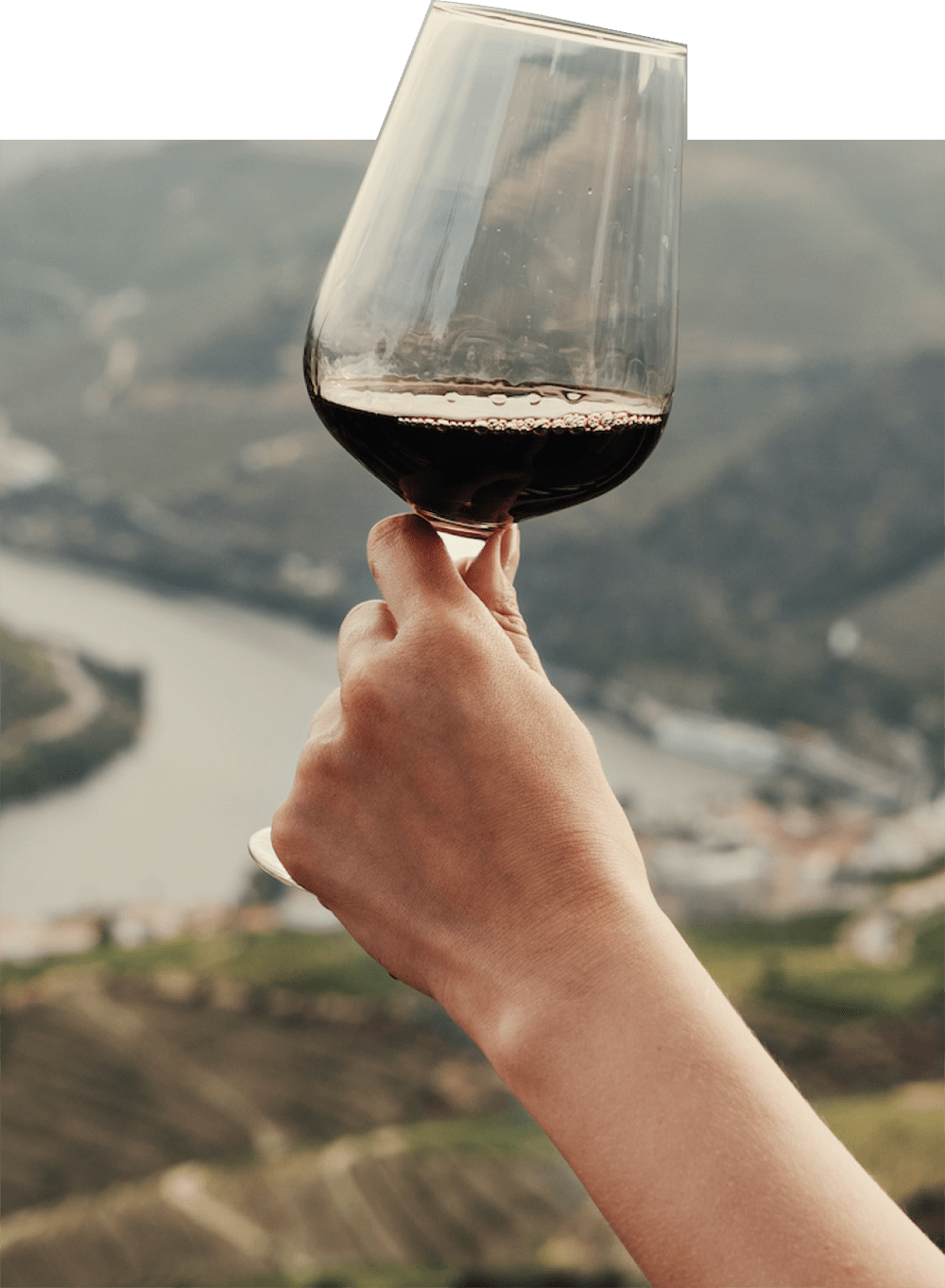 Raised glass of wine
