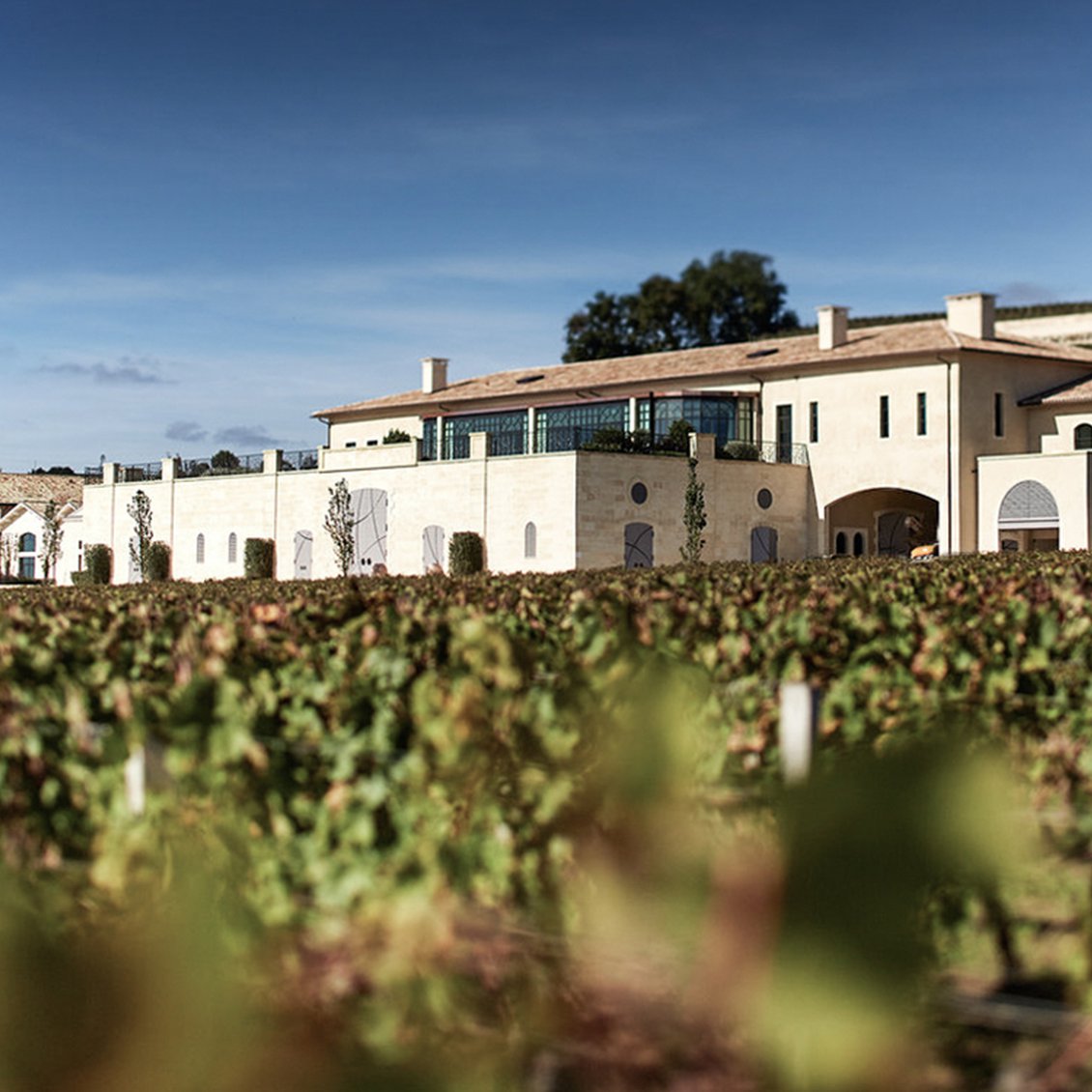 しんじ様用Chateau Pavie Macquin Saint Emilion IMG_4336_grande.jpg?v=1679693979