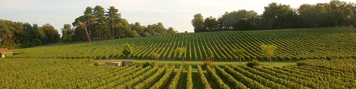 2016 Chateau Croix de Labrie Camille de Labrie Bordeaux