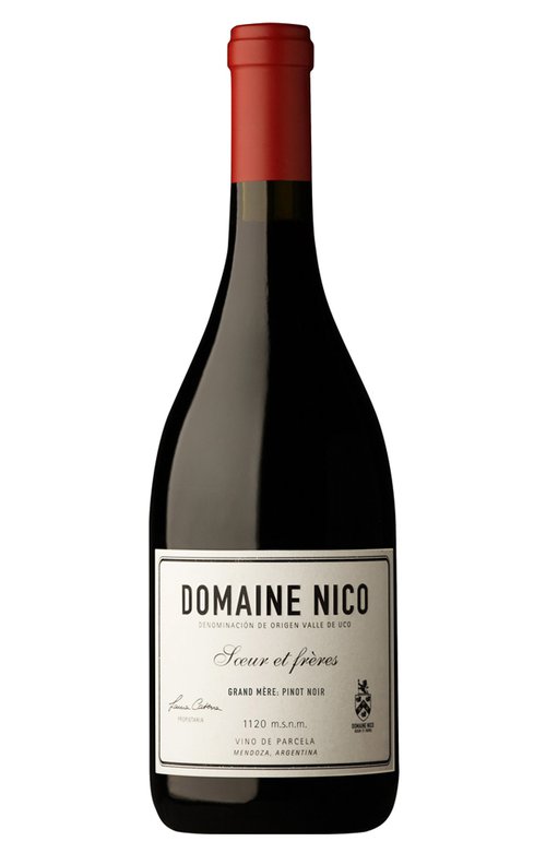 Wine Bottle