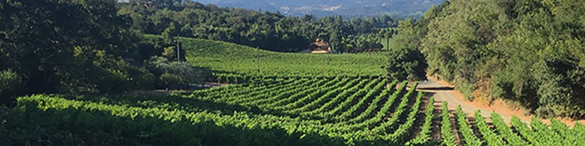ワイン ST. EDEN NAPA VALLEY 2016 Bond St. Eden 2016 | Wine.com