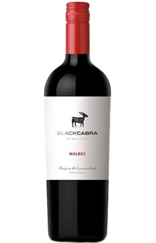 Wine Bottle