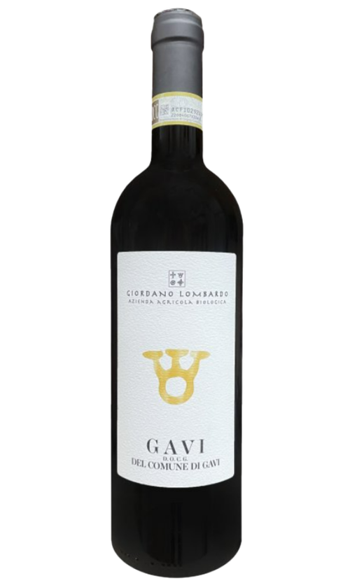 Wine Bottle