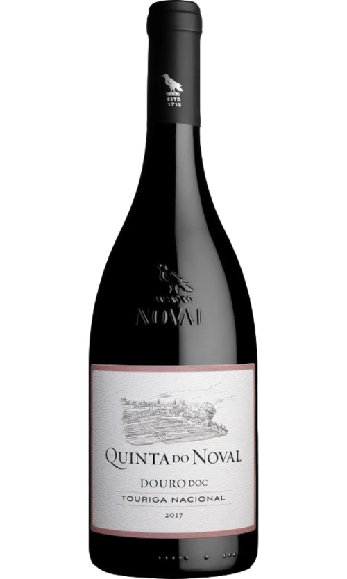 Wine Bottle