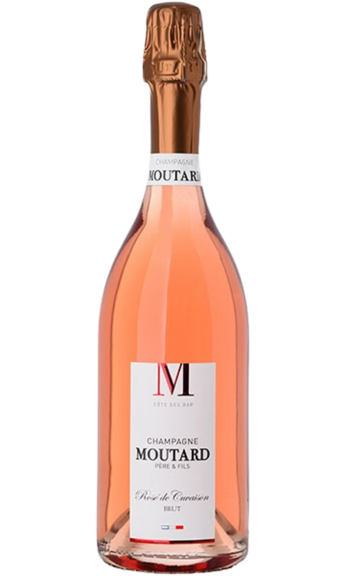 Wine Bottle