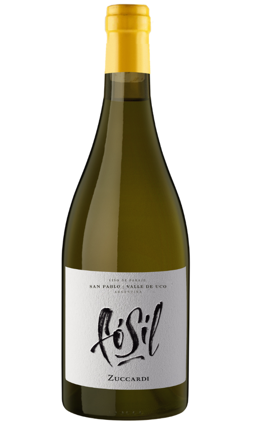 Wine Bottle