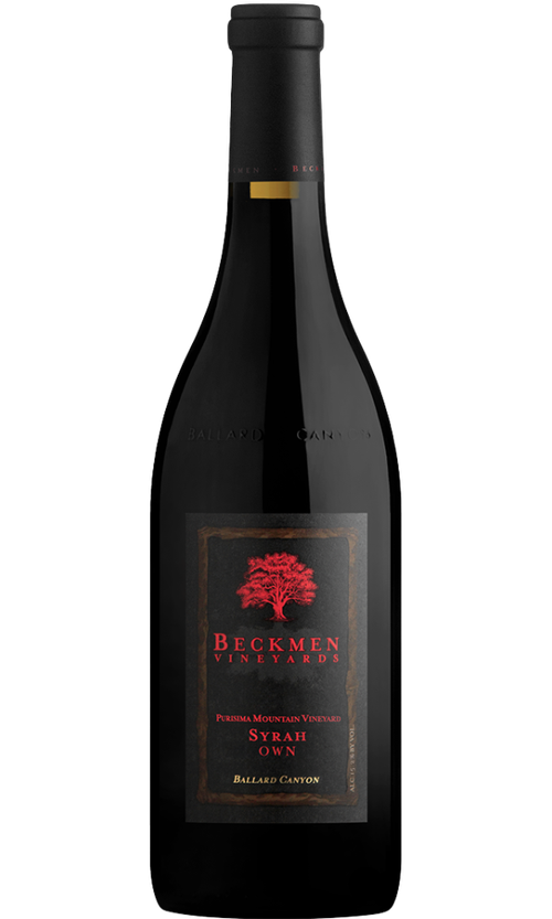 Wine Bottle