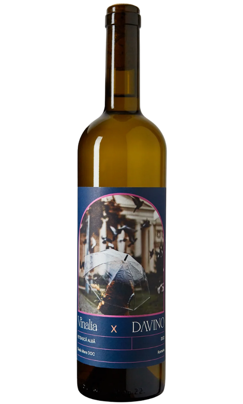 Wine Bottle
