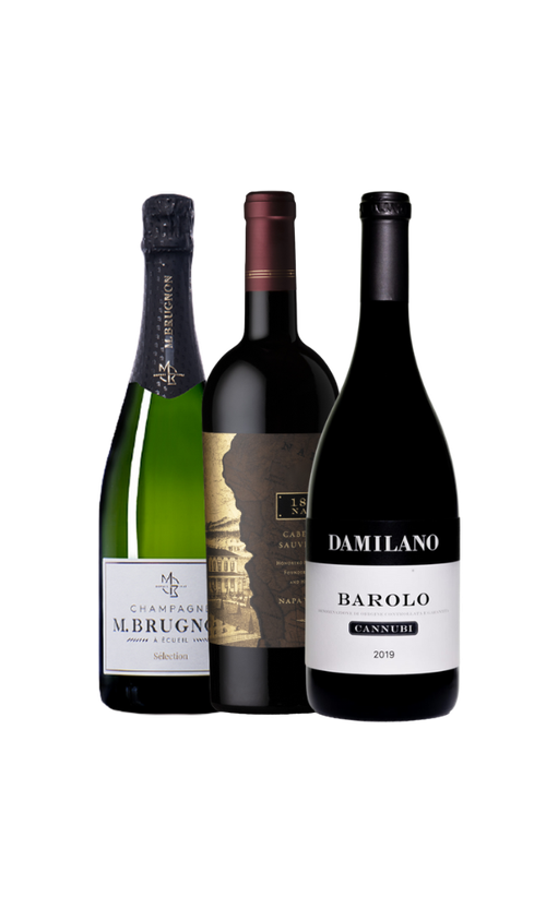 Wine Bottle
