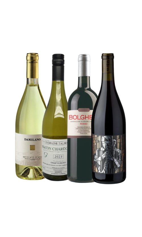Wine Bottle