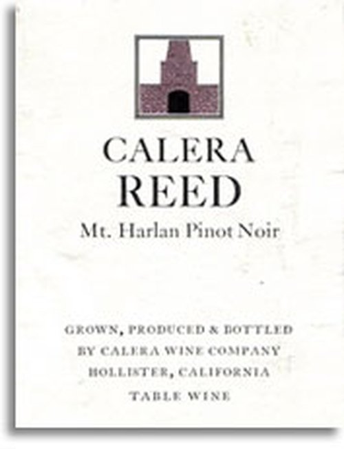 Wine Bottle